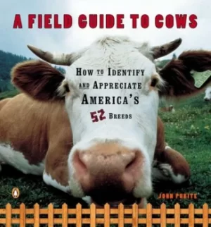 Image of A Field Guide to Cows by John Pukite
