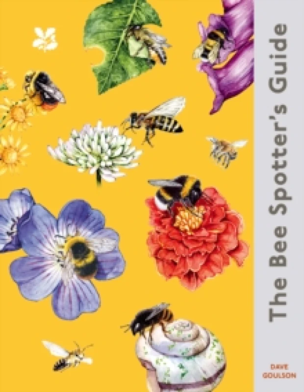 Image of The Bee Spotters Guide Hardback