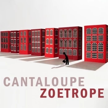 Image of Cantaloupe - Zoetrope Vinyl
