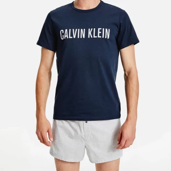 image of Calvin Klein Mens Crewneck Logo T-Shirt - Blue Shadow/White - L