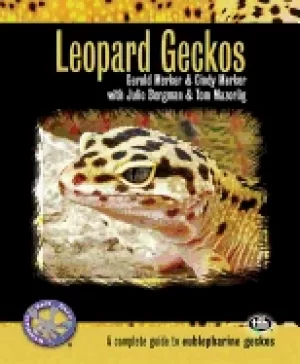 Image of leopard geckos