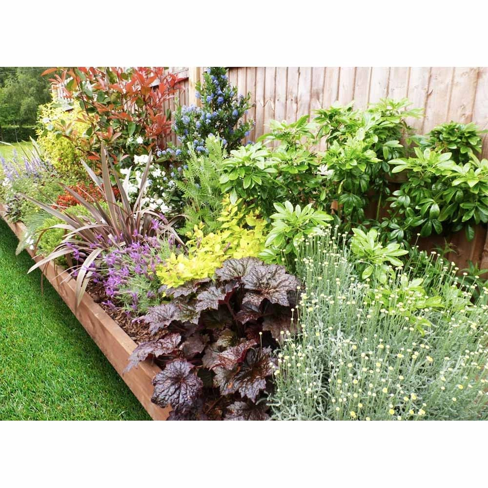 Image of Garden on a Roll Mixed Sunny Border 600mm x 8m