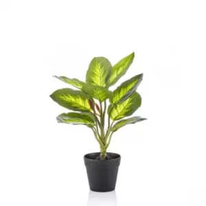 Image of CCK0198 Artificial Green Plant in Black Pot
