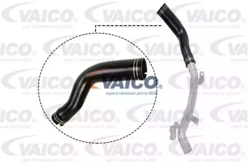 Image of Charger intake hose VAICO V24-0694
