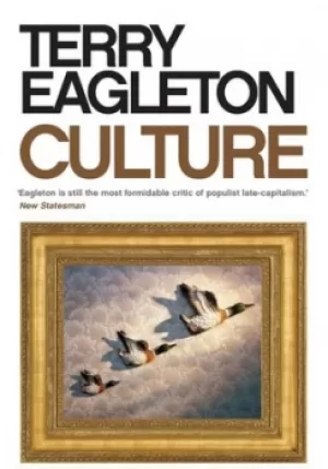 Image of Culture by Terry Eagleton
