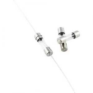 Image of Micro fuse x L 5mm x 20 mm 0.032 A 250 V Medium time lag m