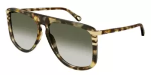 Image of Chloe Sunglasses CH0104S 003