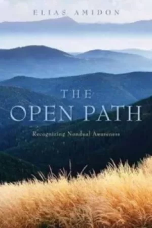 Image of The open path by Elias Amidon