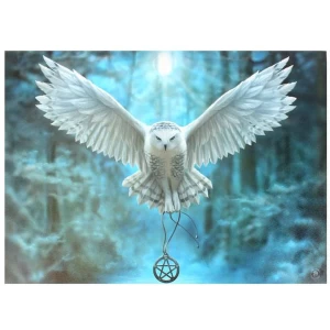 Image of Small Awake Your Magic Canvas Picture by Anne Stokes