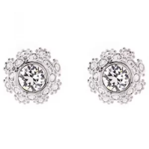Image of Ted Baker Ladies Silver Plated Seraa Crystal Daisy Lace Stud Earring