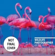 Image of Wildlife Photographer of the Year : Portfolio 31