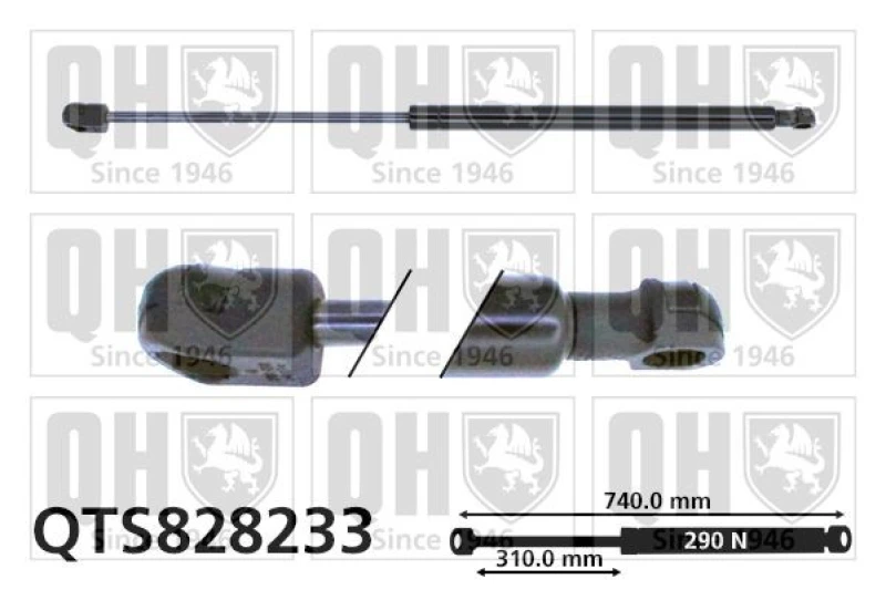 Image of QUINTON HAZELL Bonnet strut QUINTON HAZELL QTS828233