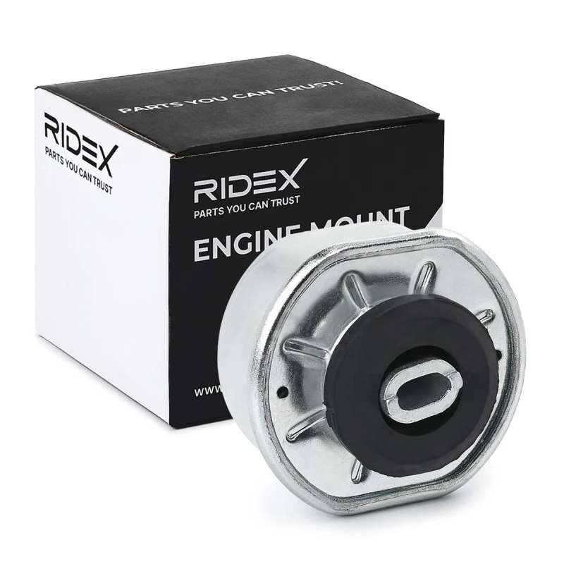 Image of Engine mount RIDEX 247E0310