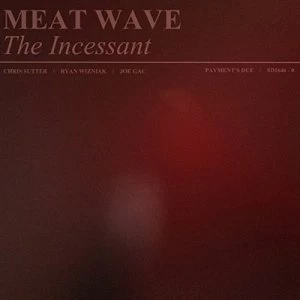 image of The Incessant by Meat Wave CD Album