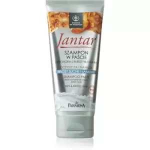 Image of Farmona Jantar Amber Extract & Clay Purifying Shampoo For Dry And Brittle Hair 200ml