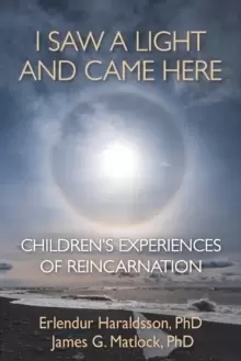 Image of I Saw A Light And Came Here : Childrens Experiences of Reincarnation