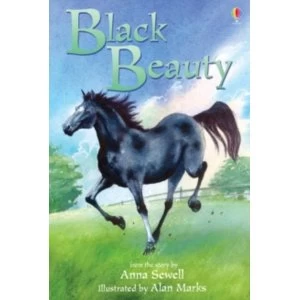 Image of Black Beauty by Anna Sewell (Hardback, 2005)