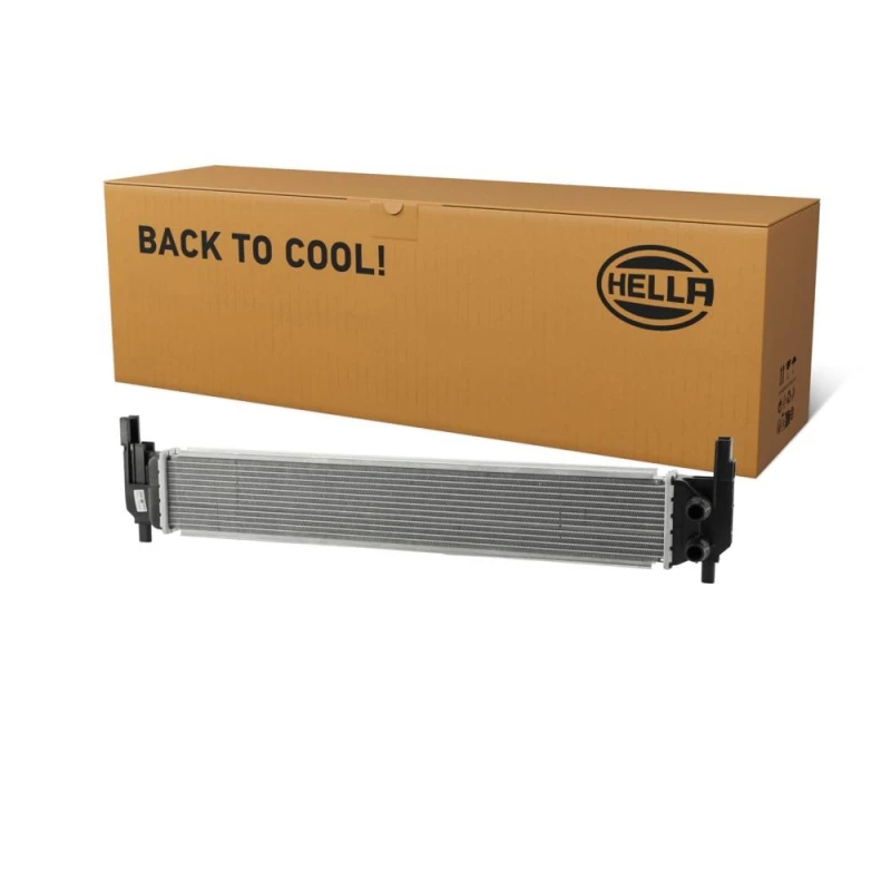 Image of HELLA Engine radiator HELLA 8MK 366 302-111