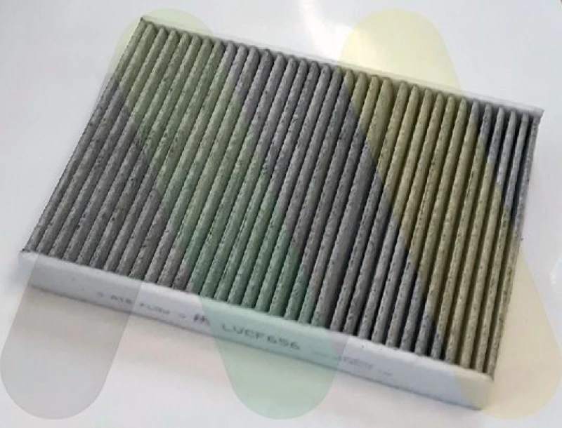 Image of MOTAQUIP Pollen filter MOTAQUIP LVCF656