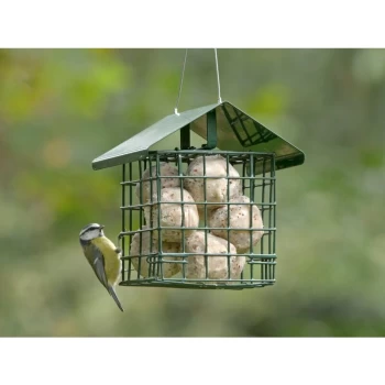 Image of Super Suet Fat Balls Pack 6 - 68494297 - Rspb