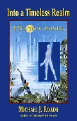 Image of into a timeless realm a metaphysical adventure