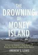 Image of drowning of money island a forgotten communitys fight against the rising se