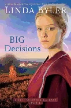 Image of big decisions a novel based on true experiences from an amish writer