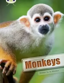 Image of Bug Club Guided Non Fiction Year 3 White A Monkeys
