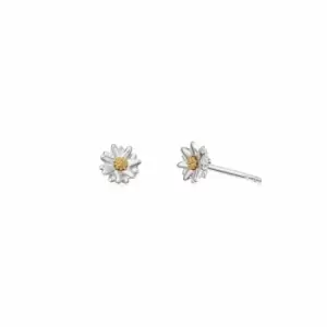 Image of Daisy London 925 Sterling Silver and 18ct Gold Plate Bellis Daisy Stud Earrings