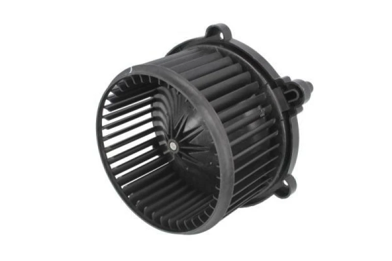 Image of THERMOTEC Blower motor THERMOTEC DD0502TT