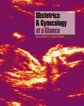 Image of Obstetrics and Gynecology at a Glance by Errol R. Norwitz Paperback