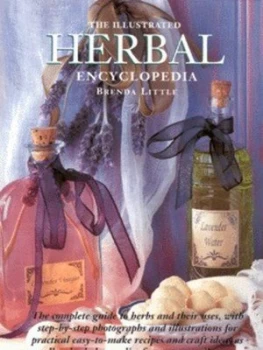 Image of The Illustrated Herbal Encyclopedia by Brenda Little Hardback