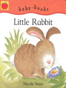 Image of Little Rabbit by Nicola Smee Hardback
