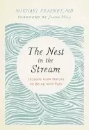 Image of nest in the stream lessons from nature on being with pain