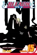 Image of bleach vol 15