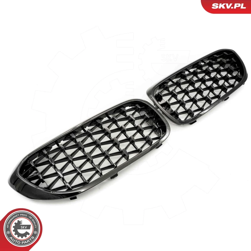 Image of ESEN SKV Radiator Grille ESEN SKV 66SKV200