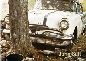 Image of John Salt by John Salt and Jonathan Watkins and Dieter Roelstraete and Ikon Gallery Paperback