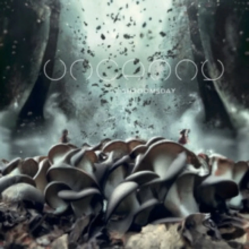 Image of Shroomsday CD / Album Digipak (Limited Edition)