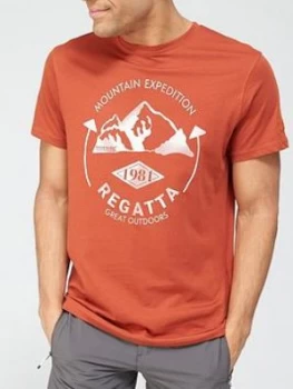 image of Regatta Cline Logo Mens T-Shirt - Red, Size 2XL, Men