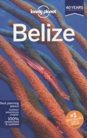 Image of Belize by Lonely Planet