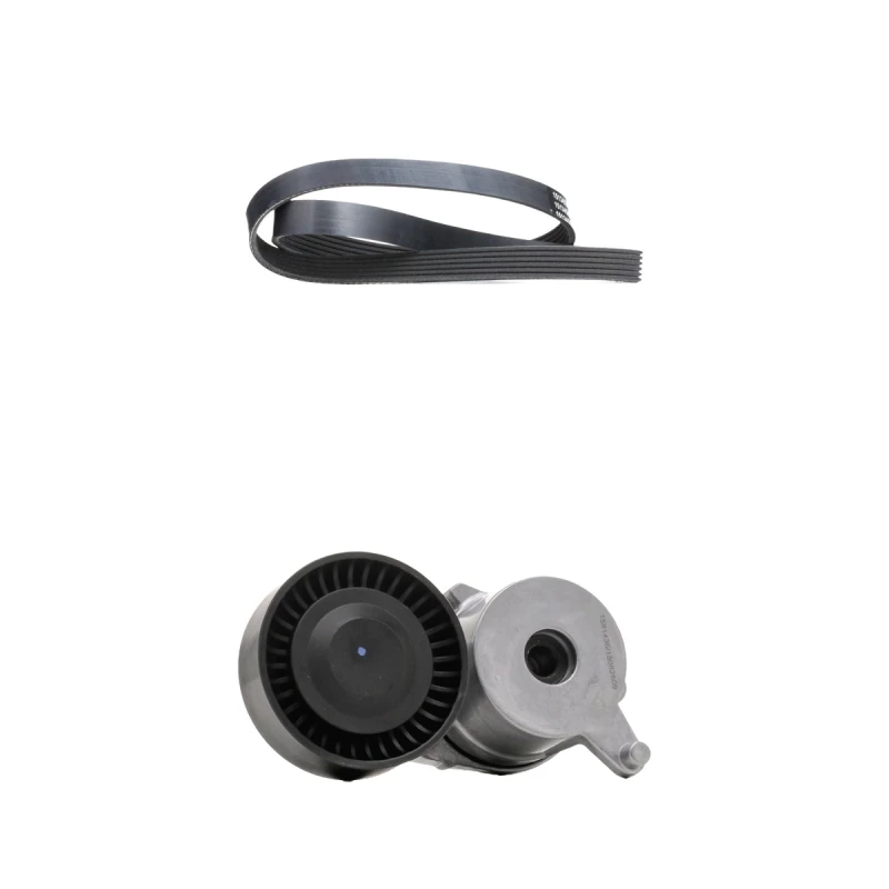 Image of RIDEX 542R0833 V-ribbed belt set V-Ribbed Belt Set (542)