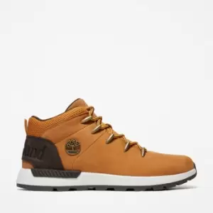 Image of Timberland Sprint Trekker Hiking Boot For Men In Yellow And Black Yellow, Size 10
