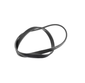 image of DAYCO V-ribbed belt 4PK903EE Serpentine belt,Auxiliary belt FIAT,IVECO,MAN,Ducato Kastenwagen (250_, 290_),Ducato Bus (250_, 290_)