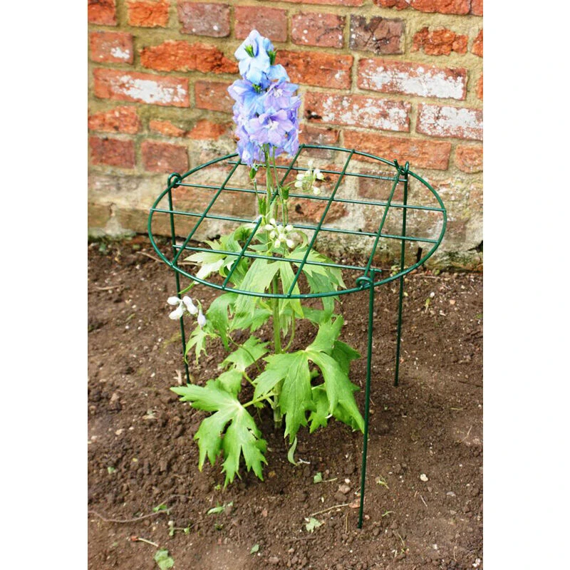 Image of 24 Inches Conical Plant Support (Pack of 4) - Steel - L17.7 x W17.7 x H60.9cm - Green PoppyForge24ConicalPS02-4PK