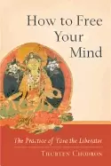 Image of how to free your mind the practice of tara the liberator