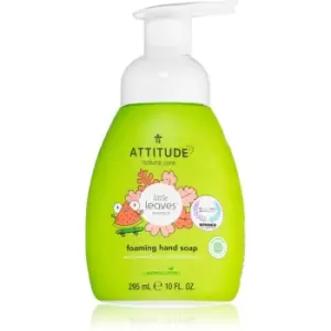 image of Attitude Little Leaves Watermelon & Coco liquid hand soap for kids 295 ml