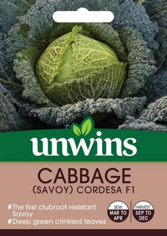 Image of Unwins Cabbage (Savoy) Cordesa F1