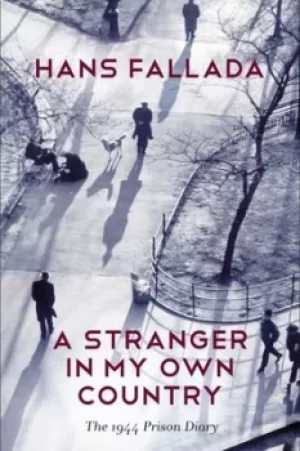 Image of A stranger in my own country by Hans Fallada