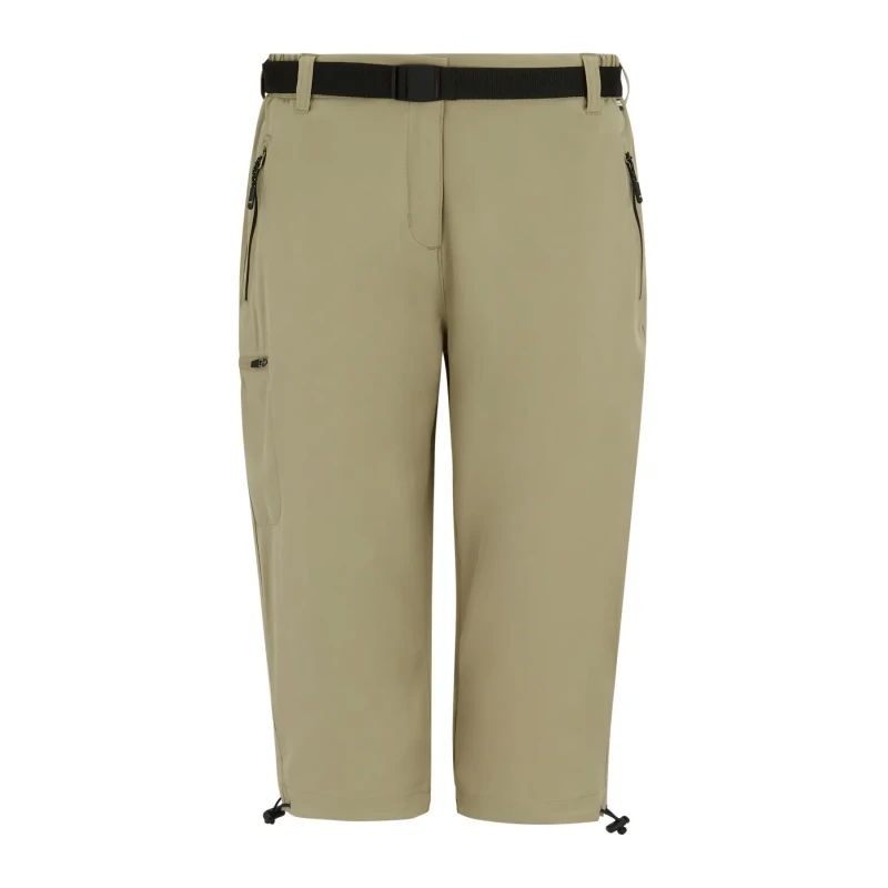 Image of Womens shorts Regatta Xert Stretch Marron Female 36