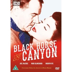 Image of Black Horse Canyon DVD